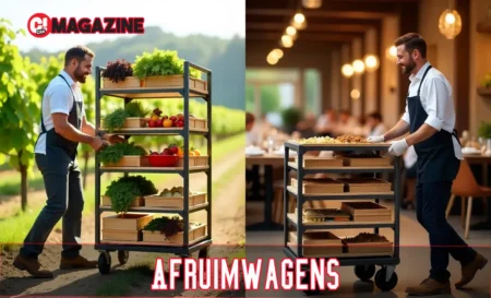 Afruimwagens: Your 2025 Efficiency Guide Afruimwagens: Your 2025 Efficiency Guide Celebrity
