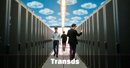 Transds: The Guide to Transformation-Driven Systems Business