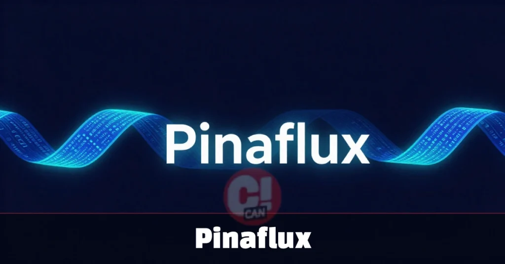 What Is Pinaflux? The Concept Behind the Term Pinaflux digital concept showing adaptive data flow and continuous change in web development and content strategy systems.