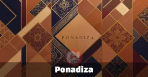 Is Ponadiza the Lifestyle Identity You've Been Looking For? Net Worth