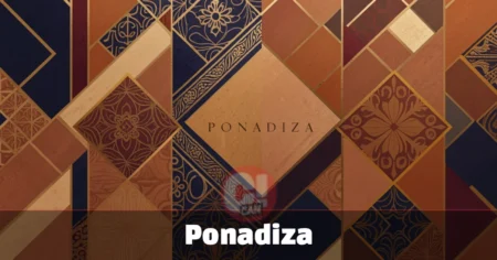 Is Ponadiza the Lifestyle Identity You've Been Looking For? Lifestyle