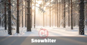 Snowhiter winter landscape with snow-covered pine trees and soft golden hour light in a serene forest setting